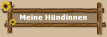 Meine Hndinnen