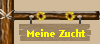 Meine Zucht