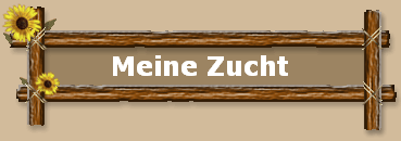 Meine Zucht