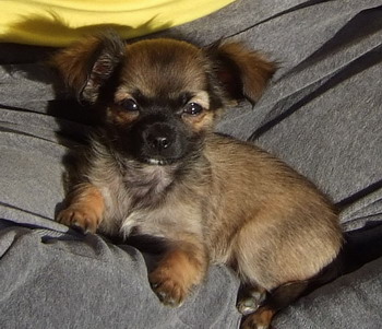 nelly